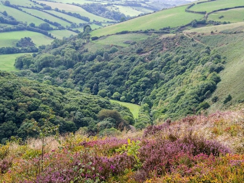 Planning policy review (South West&nbsp;England)