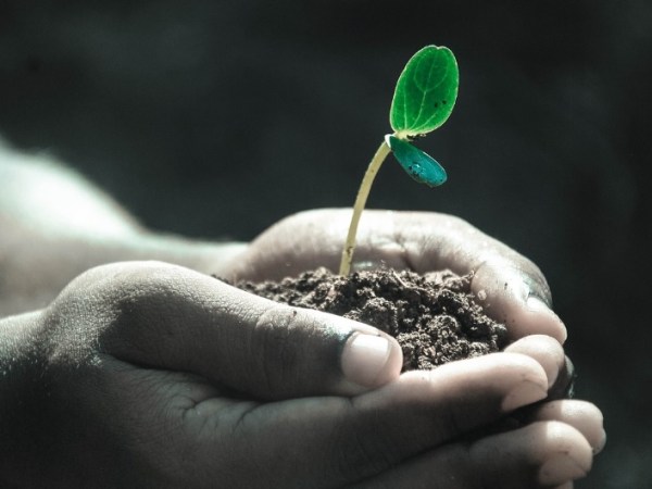 The sanctity of&nbsp;soil